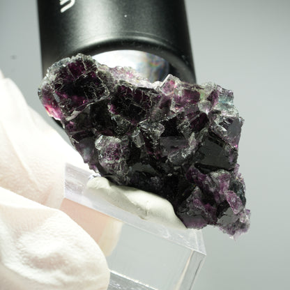 Seltene Phantom Fluorit Würfel Stufe, grün lila Okorusu, Namibia 51*28*18mm #13460