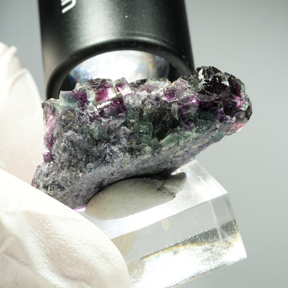 Seltene Phantom Fluorit Würfel Stufe, grün lila Okorusu, Namibia 51*28*18mm #13460