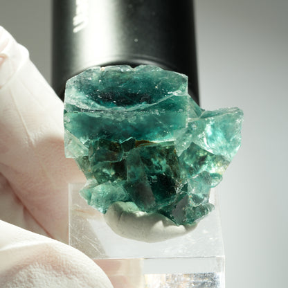 Seltene Phantom Fluorit Würfel Stufe, grün Okorusu, Namibia 37*31*15mm #13461