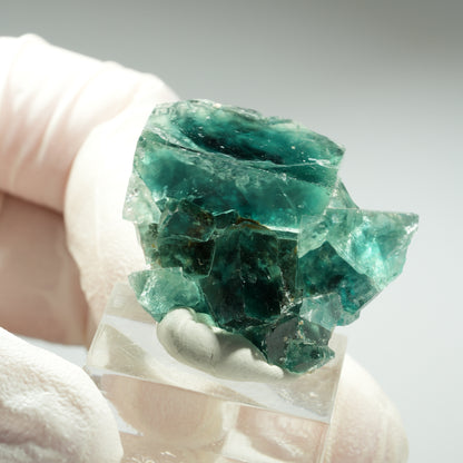 Seltene Phantom Fluorit Würfel Stufe, grün Okorusu, Namibia 37*31*15mm #13461