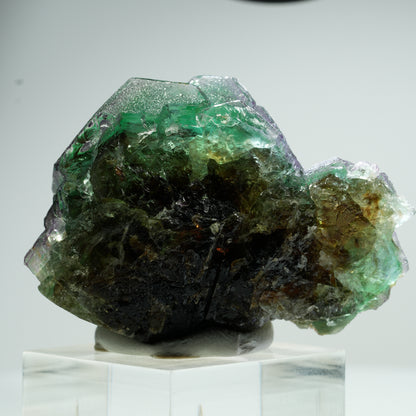Phantom Fluorit hexagonal, Schörl Turmalin, Muskovit Erongo, Namibia 50*36*26mm #13464