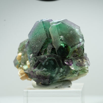 Phantom Fluorit hexagonal, Schörl Turmalin, Muskovit Erongo, Namibia 50*36*26mm #13464