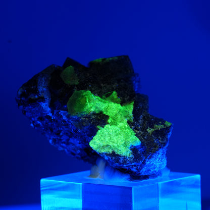 Fluorite fantôme colorée, Tourmaline noire, Opale hyalite, Muscovite Erongo, Namibie 46*37*30mm #13465