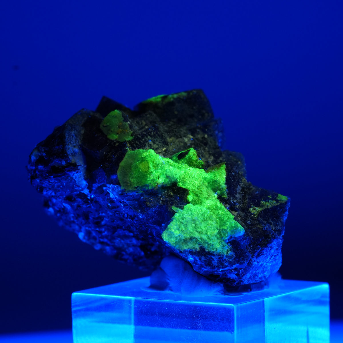 Fluorite fantôme colorée, Tourmaline noire, Opale hyalite, Muscovite Erongo, Namibie 46*37*30mm #13465