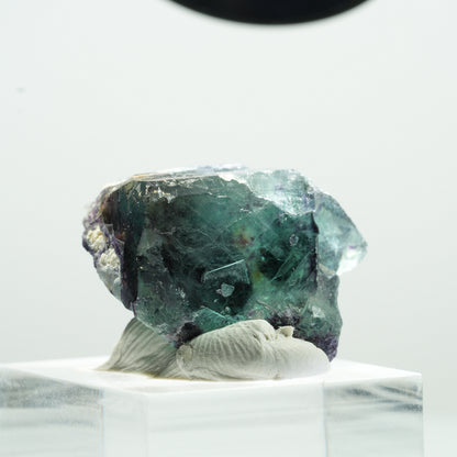 Seltene Phantom Fluorit Würfel Stufe, grün lila Okorusu, Namibia 26*23*17mm #13466