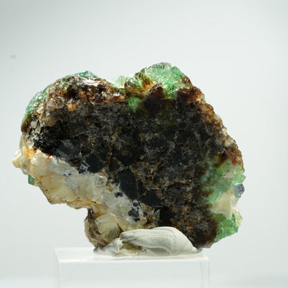 Fluorite fantôme cubique, Tourmaline noire, Muscovite Erongo, Namibie 46*40*21mm #13467