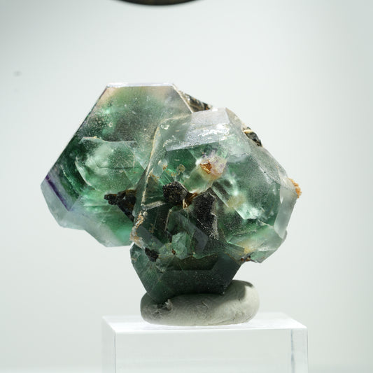 Phantom Fluorit hexagonal, Schörl Turmalin, Muskovit Erongo, Namibia 41*32*29mm #13468