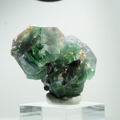 Phantom Fluorit hexagonal, Schörl Turmalin, Muskovit Erongo, Namibia 41*32*29mm #13468