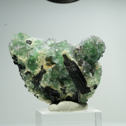Cube de Fluorite fantôme, Tourmaline Schorl, Muscovite Erongo, Namibie 49*43*30mm #13470