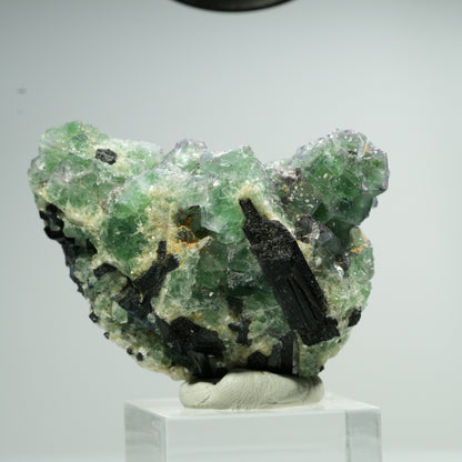 Cube de Fluorite fantôme, Tourmaline Schorl, Muscovite Erongo, Namibie 49*43*30mm #13470