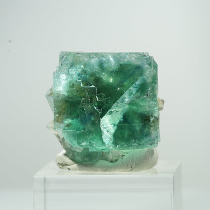 Seltene Phantom Fluorit Würfel Stufe, grün Erongo, Namibia 25*24*22mm #13474