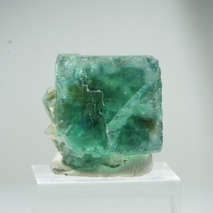 Seltene Phantom Fluorit Würfel Stufe, grün Erongo, Namibia 25*24*22mm #13474