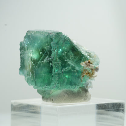 Seltene Phantom Fluorit Würfel Stufe, grün Erongo, Namibia 25*24*22mm #13474