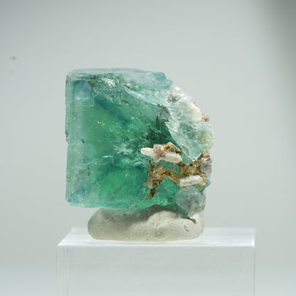 Seltene Phantom Fluorit Würfel Stufe, grün Erongo, Namibia 25*24*22mm #13474