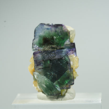 Seltene Phantom Fluorit Würfel, Muskovit Stufe Erongo, Namibia 24*17*17mm #13476
