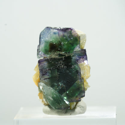 Seltene Phantom Fluorit Würfel, Muskovit Stufe Erongo, Namibia 24*17*17mm #13476