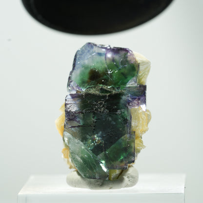 Seltene Phantom Fluorit Würfel, Muskovit Stufe Erongo, Namibia 24*17*17mm #13476