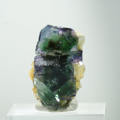 Seltene Phantom Fluorit Würfel, Muskovit Stufe Erongo, Namibia 24*17*17mm #13476