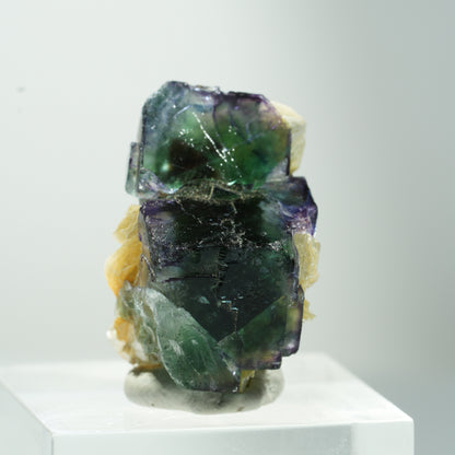 Seltene Phantom Fluorit Würfel, Muskovit Stufe Erongo, Namibia 24*17*17mm #13476