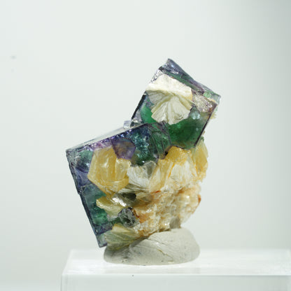 Seltene Phantom Fluorit Würfel, Muskovit Stufe Erongo, Namibia 24*17*17mm #13476