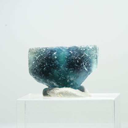 Phantom Fluorit Würfel Stufe, blau Butterfly Pocket, Okorusu, Namibia 21*15*13mm #13480