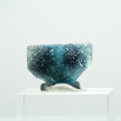Phantom Fluorit Würfel Stufe, blau Butterfly Pocket, Okorusu, Namibia 21*15*13mm #13480
