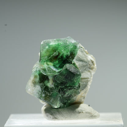 Seltene Phantom Fluorit Würfel, Muskovit Stufe Erongo, Namibia 10*9*8mm #13483