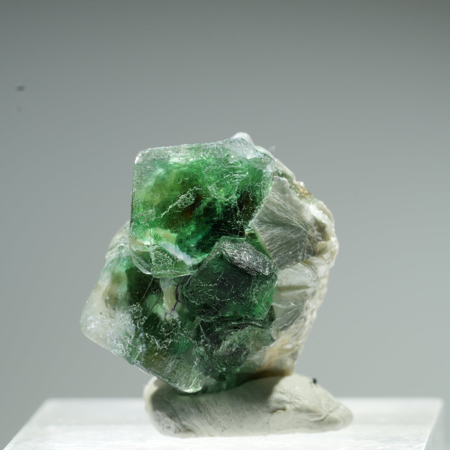 Seltene Phantom Fluorit Würfel, Muskovit Stufe Erongo, Namibia 10*9*8mm #13483