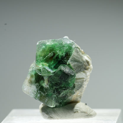 Seltene Phantom Fluorit Würfel, Muskovit Stufe Erongo, Namibia 10*9*8mm #13483