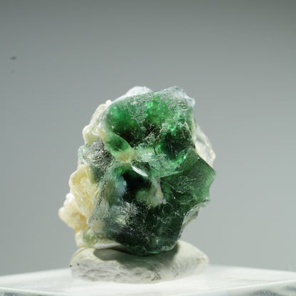 Seltene Phantom Fluorit Würfel, Muskovit Stufe Erongo, Namibia 10*9*8mm #13483