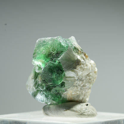 Seltene Phantom Fluorit Würfel, Muskovit Stufe Erongo, Namibia 10*9*8mm #13483