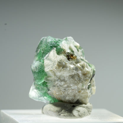 Seltene Phantom Fluorit Würfel, Muskovit Stufe Erongo, Namibia 10*9*8mm #13483