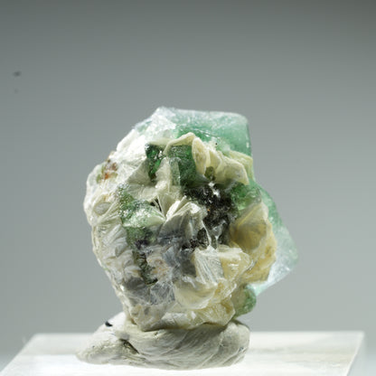 Seltene Phantom Fluorit Würfel, Muskovit Stufe Erongo, Namibia 10*9*8mm #13483
