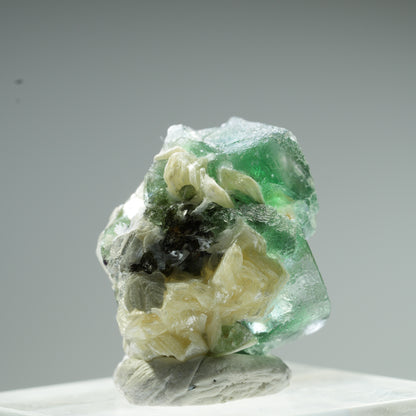 Seltene Phantom Fluorit Würfel, Muskovit Stufe Erongo, Namibia 10*9*8mm #13483