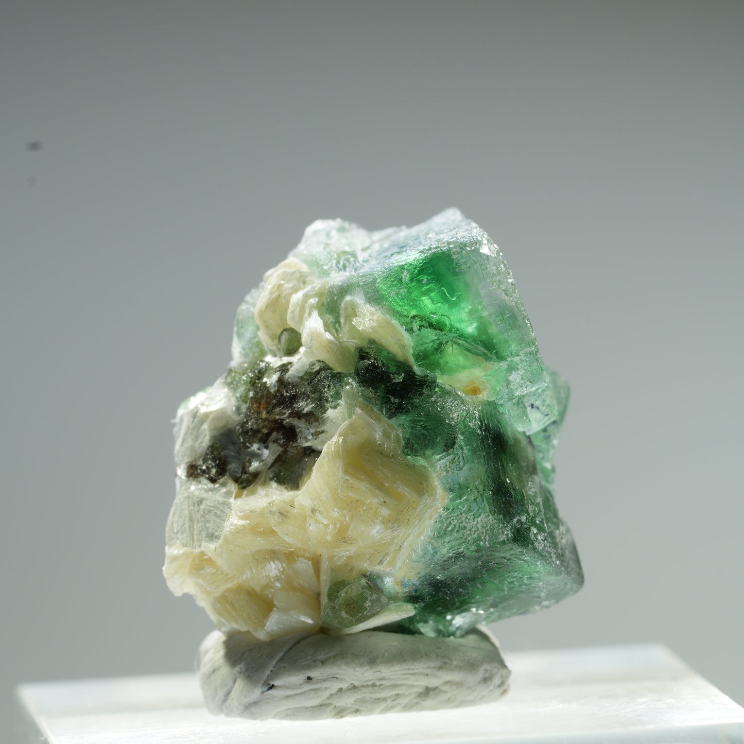 Seltene Phantom Fluorit Würfel, Muskovit Stufe Erongo, Namibia 10*9*8mm #13483