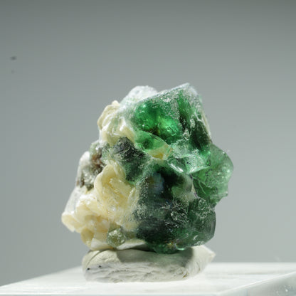 Seltene Phantom Fluorit Würfel, Muskovit Stufe Erongo, Namibia 10*9*8mm #13483