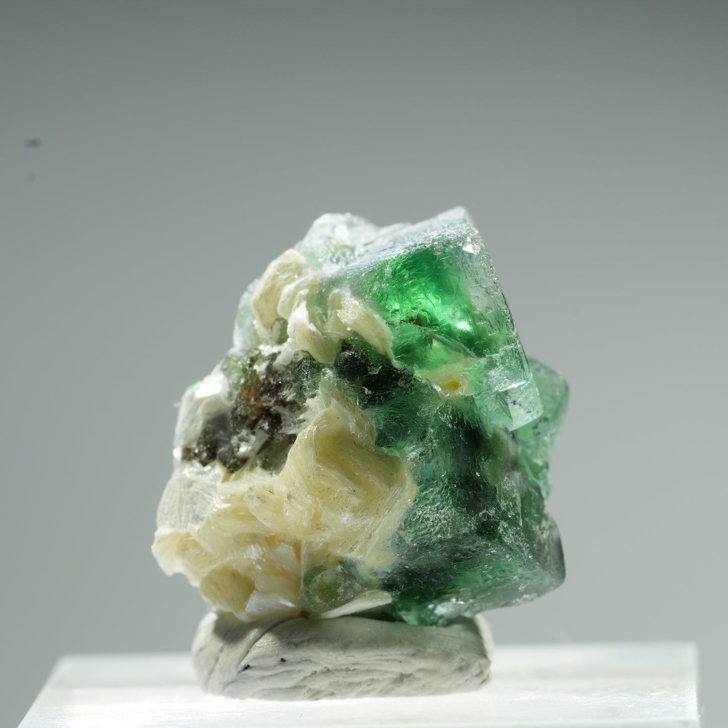 Seltene Phantom Fluorit Würfel, Muskovit Stufe Erongo, Namibia 10*9*8mm #13483