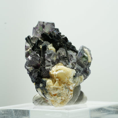 Bunte Phantom Fluorit Würfel, Schörl Turmalin, Muskovit Erongo, Namibia 15*11*8mm #13484
