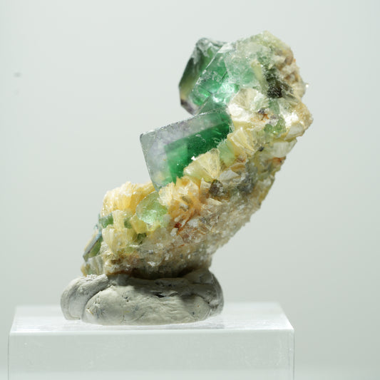 Seltene Phantom Fluorit Würfel, Muskovit Stufe Erongo, Namibia 17*11*8mm #13487