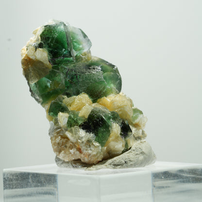 Seltene Phantom Fluorit Würfel, Muskovit Stufe Erongo, Namibia 17*11*8mm #13487