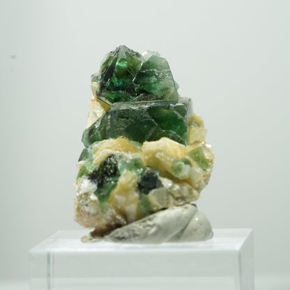 Seltene Phantom Fluorit Würfel, Muskovit Stufe Erongo, Namibia 17*11*8mm #13487