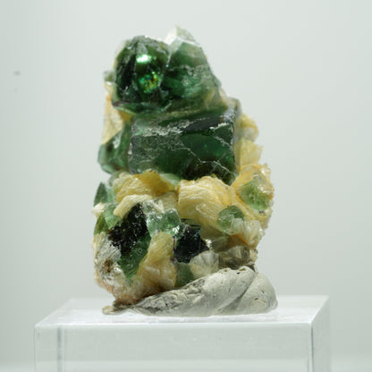 Seltene Phantom Fluorit Würfel, Muskovit Stufe Erongo, Namibia 17*11*8mm #13487