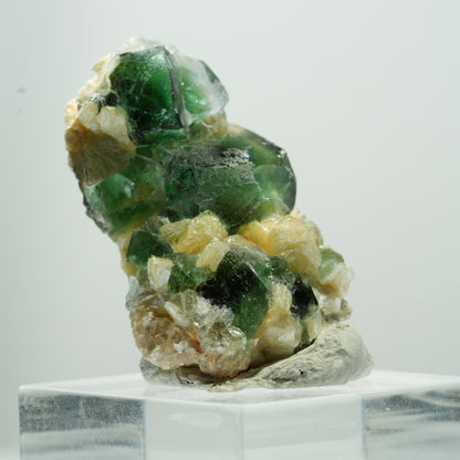 Seltene Phantom Fluorit Würfel, Muskovit Stufe Erongo, Namibia 17*11*8mm #13487