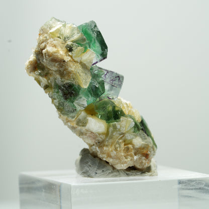 Seltene Phantom Fluorit Würfel, Muskovit Stufe Erongo, Namibia 17*11*8mm #13487
