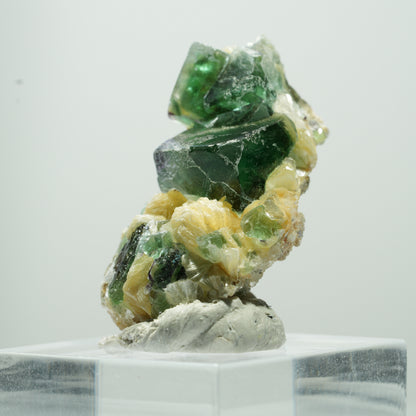 Seltene Phantom Fluorit Würfel, Muskovit Stufe Erongo, Namibia 17*11*8mm #13487