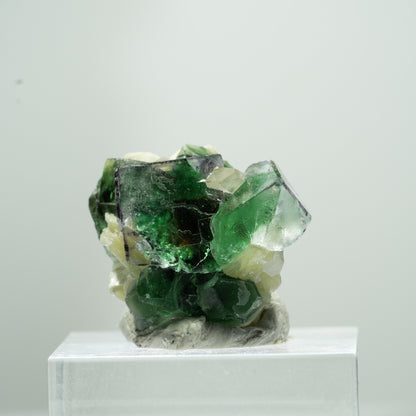 Fluorite fantôme rare en cube, sur muscovite Erongo, Namibie 11*9*9mm #13488