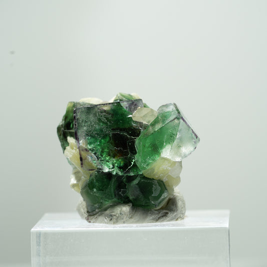 Seltene Phantom Fluorit Würfel, Muskovit Stufe Erongo, Namibia 11*9*9mm #13488