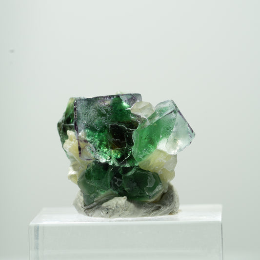 Seltene Phantom Fluorit Würfel, Muskovit Stufe Erongo, Namibia 11*9*9mm #13488