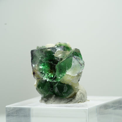 Fluorite fantôme rare en cube, sur muscovite Erongo, Namibie 11*9*9mm #13488