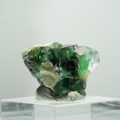 Fluorite fantôme rare en cube, sur muscovite Erongo, Namibie 11*9*9mm #13488